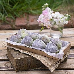 2D冒险游戏《无垠之心》最新预告 新增次世代主机版